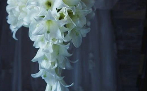 2026年05月06日结婚是否大吉? 办喜事能算好日子吗 2026年05月06日结婚是否大吉? 办喜事能算好日子吗