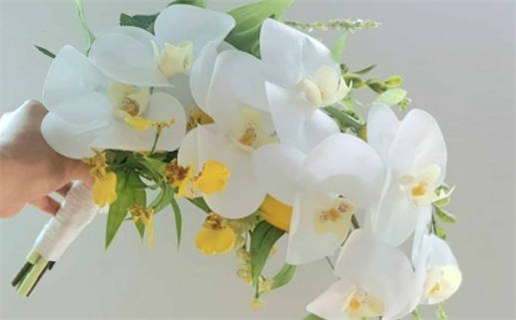 农历三月初七领证行吗? 今日领证吉利吗? 农历三月初七领证行吗? 今日领证吉利吗?