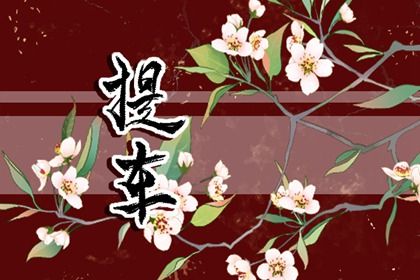 2025年农历腊月廿一提车好吗 今日买新车好吗