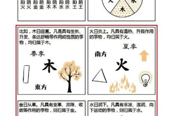 胡一鸣命理智慧：如何通过命理掌控人生轨迹