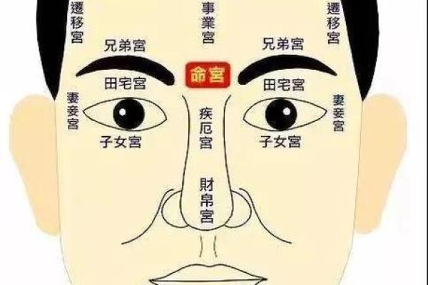 从眼睛看性格：眼睛面相图解与命运解读