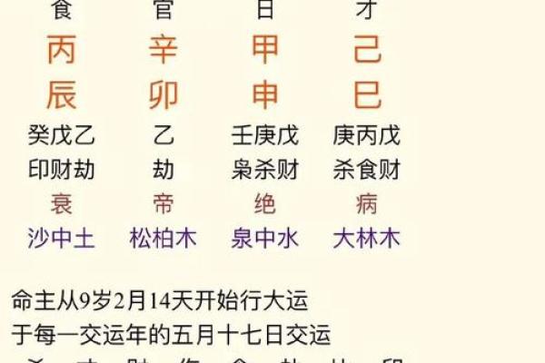 测试生辰八字解析：如何通过八字预测个人命运与运势