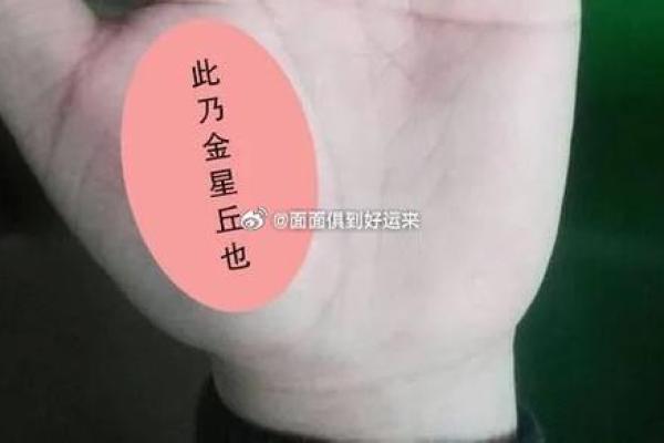 大拇指手相揭秘：如何从指纹看出你的性格与命运