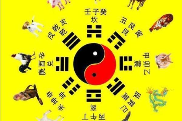 蓓蓓名字评分：从五行八字看名字的吉凶