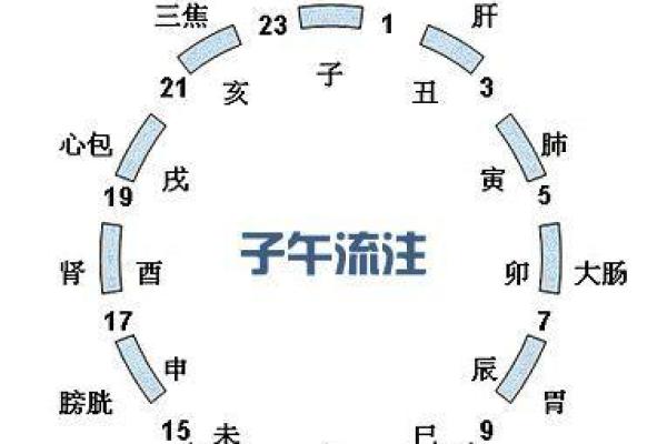 地支时间表与日常生活的微妙联系