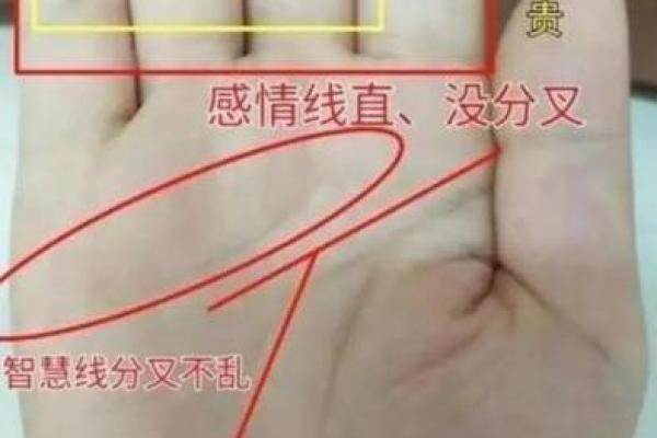 揭秘手相面相的奥秘：如何通过面部与手掌读懂未来运势