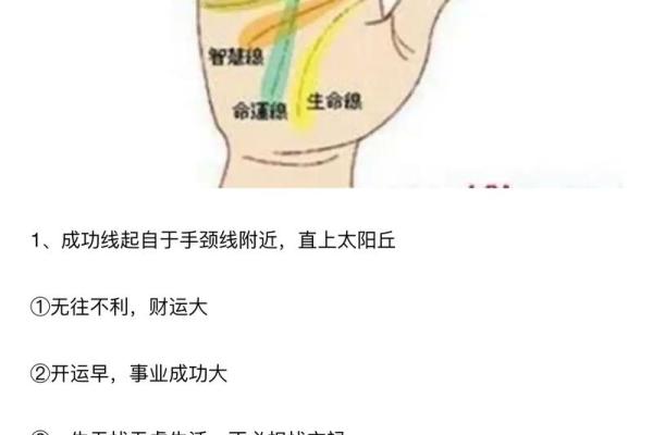 男士手相图解：如何通过掌纹判断你的未来走向