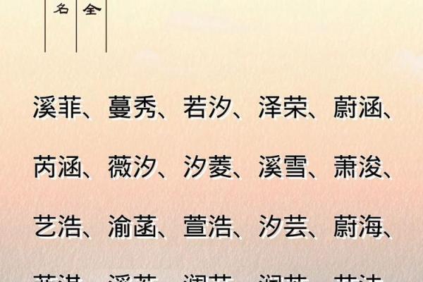 如何为新生宝宝选择一个有意义的名字