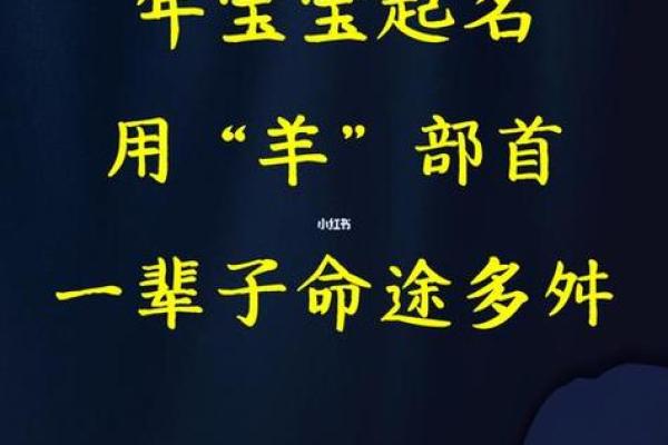 羊年女宝宝起名指南：温馨与幸运并存的名字