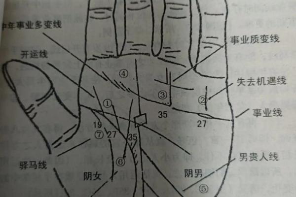 男女手相的秘密：掌纹背后的心理与命运