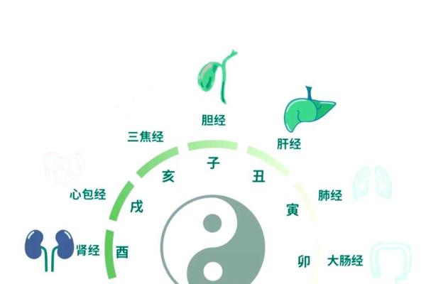 地支飞的奥秘解析：如何影响命运与运势变动