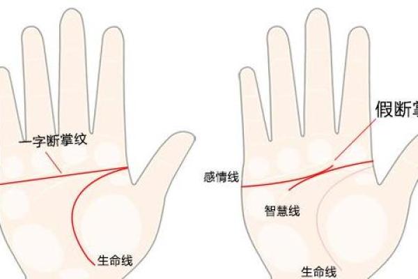 男人手相图解全解析：从手掌看个性与未来运势