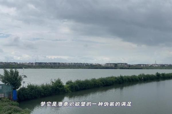 洪水梦境解析：是警示还是只是潜意识的反映？