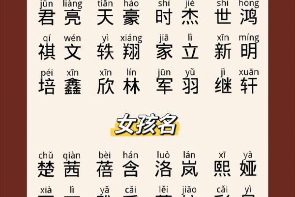 龙姓男孩名字大全：为宝宝挑选一个有文化底蕴的名字