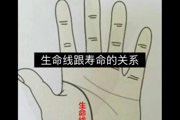 手相照片分析：发现你生命中的关键趋势