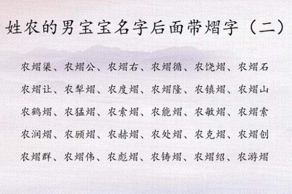 为男孩起名选玮字的独特意义和影响