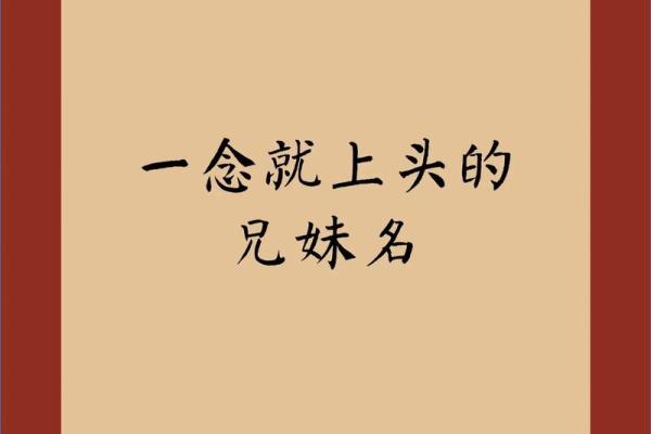 双胞胎取名：让名字传递兄弟姐妹的情感