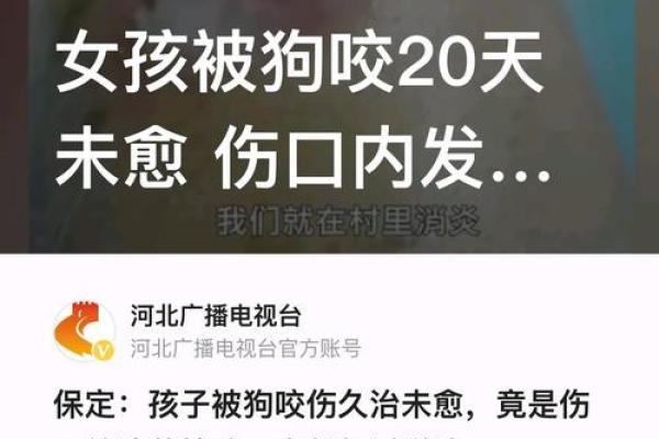 梦见自己被蛇咬的象征意义和解读分析