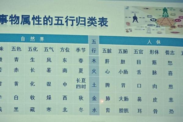 汉字五行属性查询方法及技巧解析