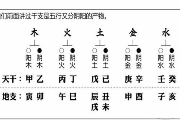 辉字五行属性解析及其在命理中的重要性