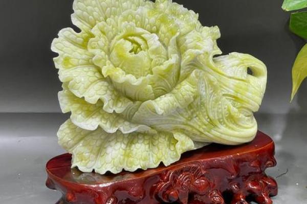 白菜在风水中的招财作用与布置技巧