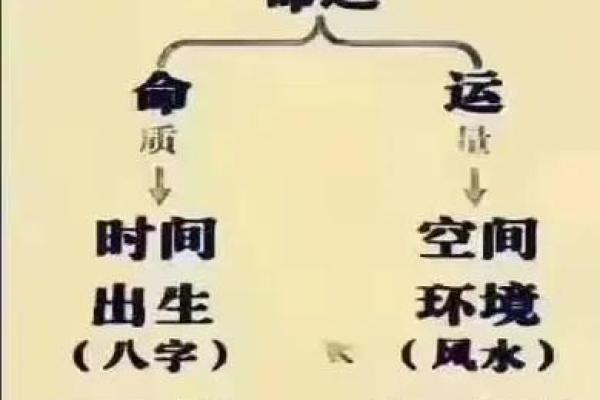 八字命理解析：从出生时间看人生运势的奥秘