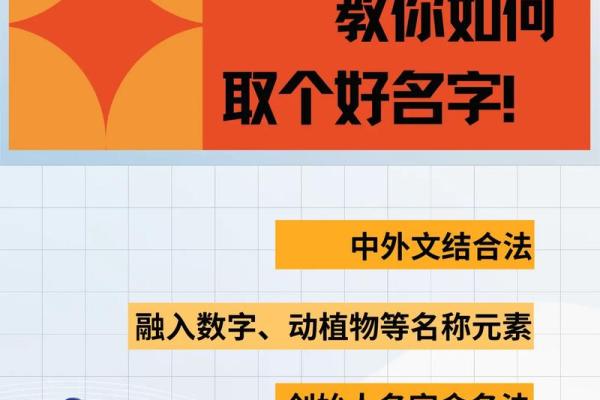 运输公司取名创意大全 助你轻松找到完美名字