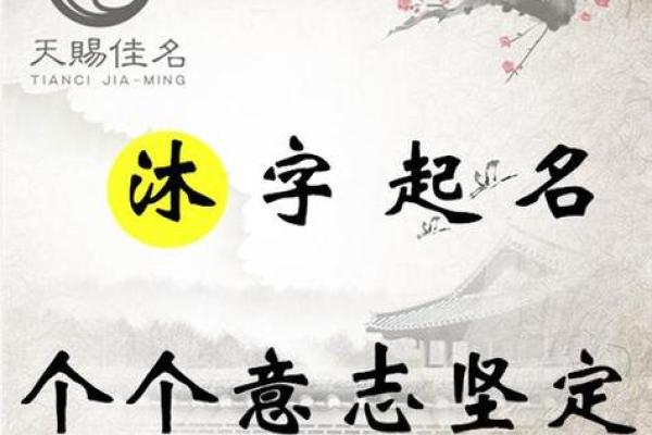 免费姓名打分工具助你选个完美名字