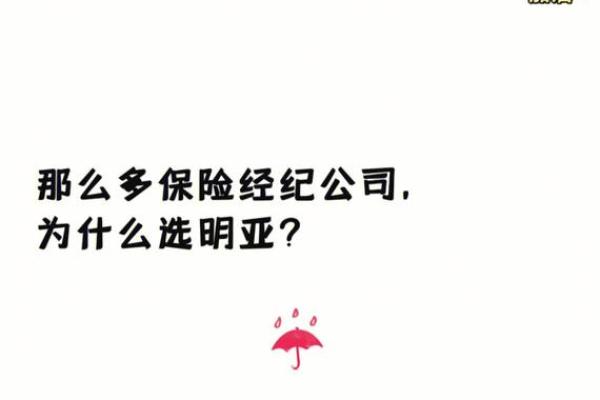 如何为保险公司起一个吸引客户的独特名称