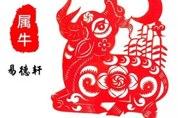 今日属牛人运势详解与应对策略