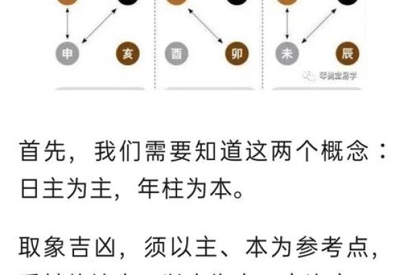 地支合冲刑害关系详解与应用分析