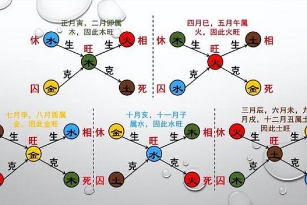 地支生克的奥秘：揭开命理中的五行相生相克