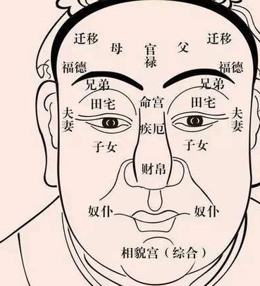 耳朵与面相学：如何通过耳朵预测未来运势