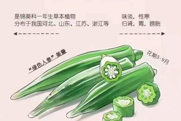 学习气，掌握适合的季节养生法