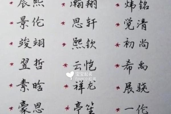 张姓男孩名字大全及命名指南