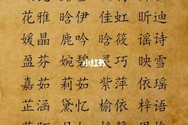 宝宝起名小常识：如何选择既吉利又合适的名字