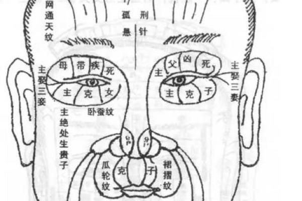 从面相解读男人的内心世界与未来趋势