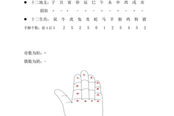 地支生肖与个人命运的深刻关联解析