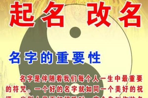 周易生辰八字取名软件：为孩子取名提供科学依据