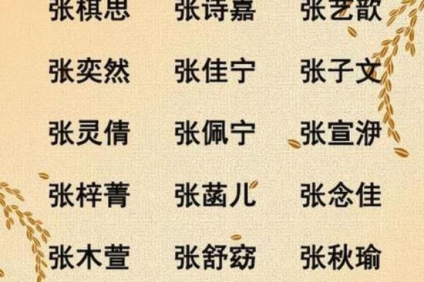 如何为张姓宝宝挑选一个寓意深远的名字