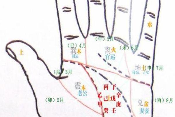 从手相看未来：一门古老的命运解析术