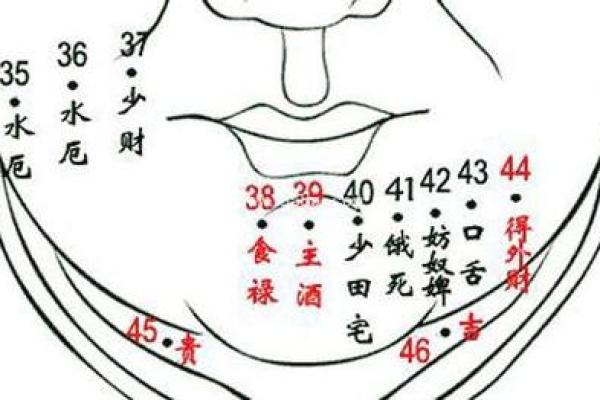 痣相分析：哪些痣标志着财富和成功