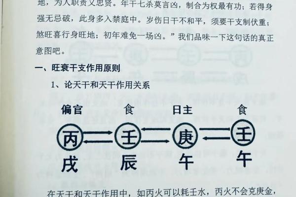 八字命理与人生运势的关联解析