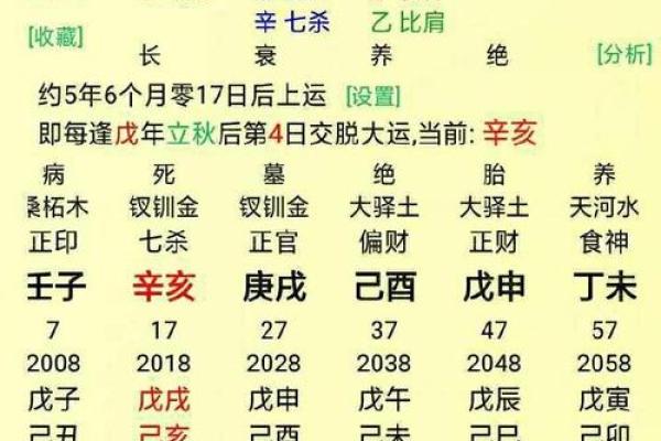 八字命理与人生运势的关联解析