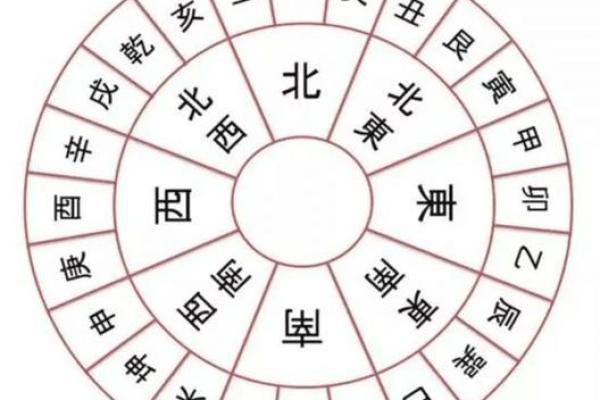 地支表的全面解析与应用指南