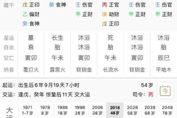 八字命理分析揭示你的命运走向与人生关键点