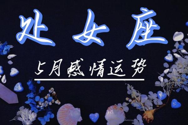 处女座今日运势提醒：工作和感情上的重要决策