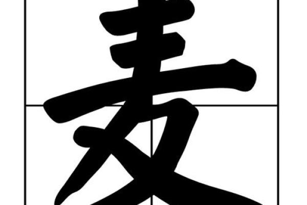 奥字取名的深远寓意与文化象征解析
