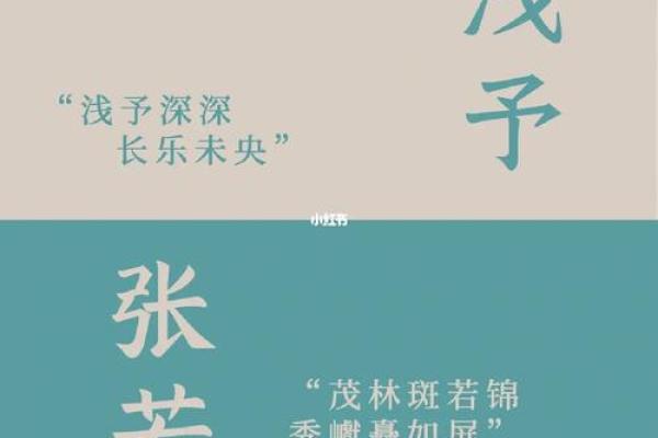 张姓起名大全：传统与现代的完美融合