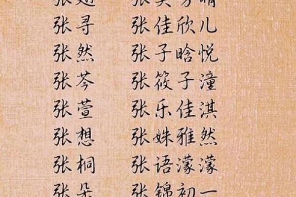 张姓起名大全：传统与现代的完美融合